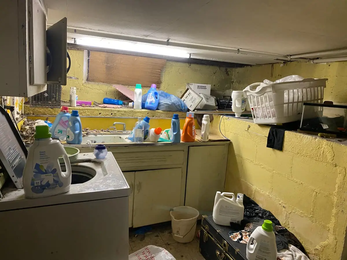 Selling without a realtor in Baldwin: basement laundry area with bottles crowding the sink