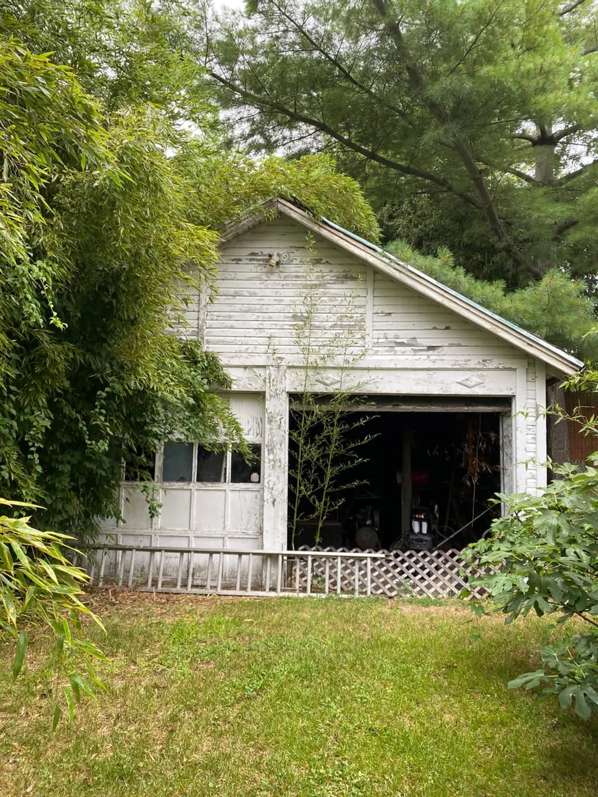 Selling a house with foundation problems in Baldwin: old detached garage swallowed by overgrown bamboo